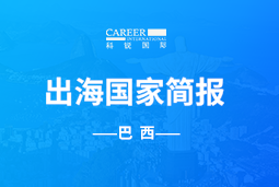 K8凯发国际GO GLOBAL | 巴西国家简报